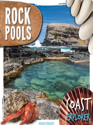 cover image of Rock Pools